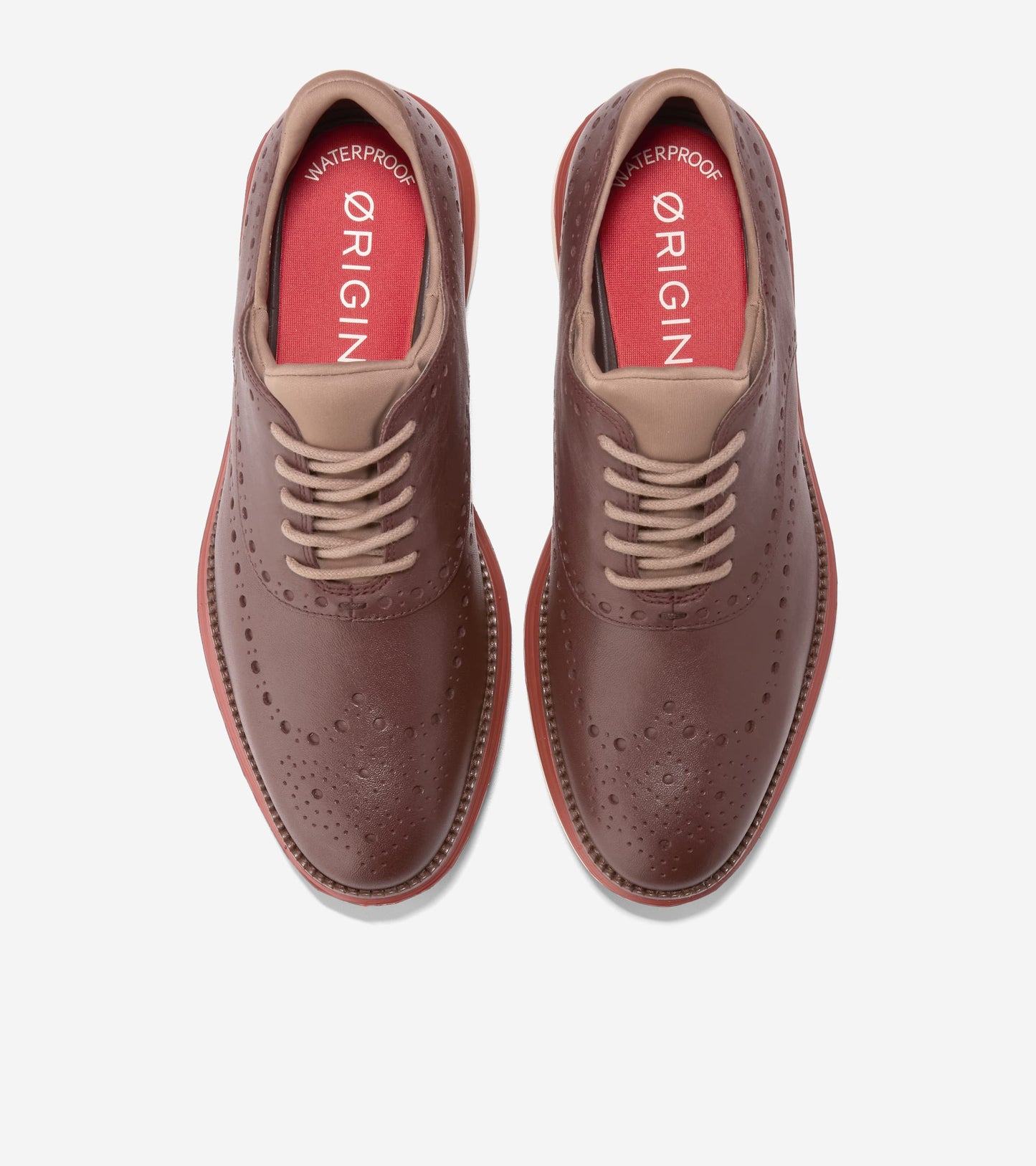 C39528:DEEP MAHOGANY / RED OCHRE / CH IRISH COFFEE WP