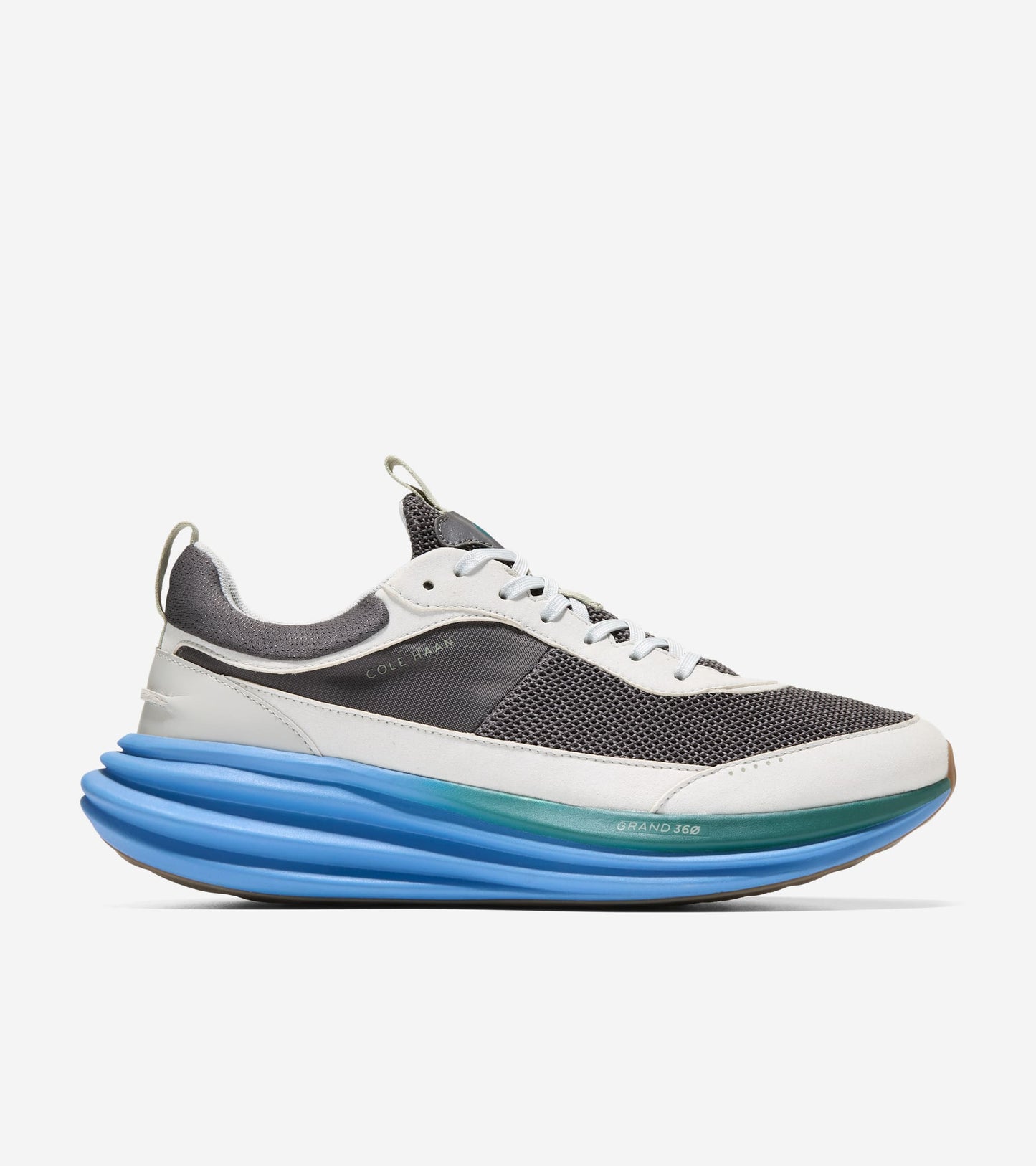 C42451:CASTLEROCK / OYSTER MUSHROOM / PACIFIC COAST