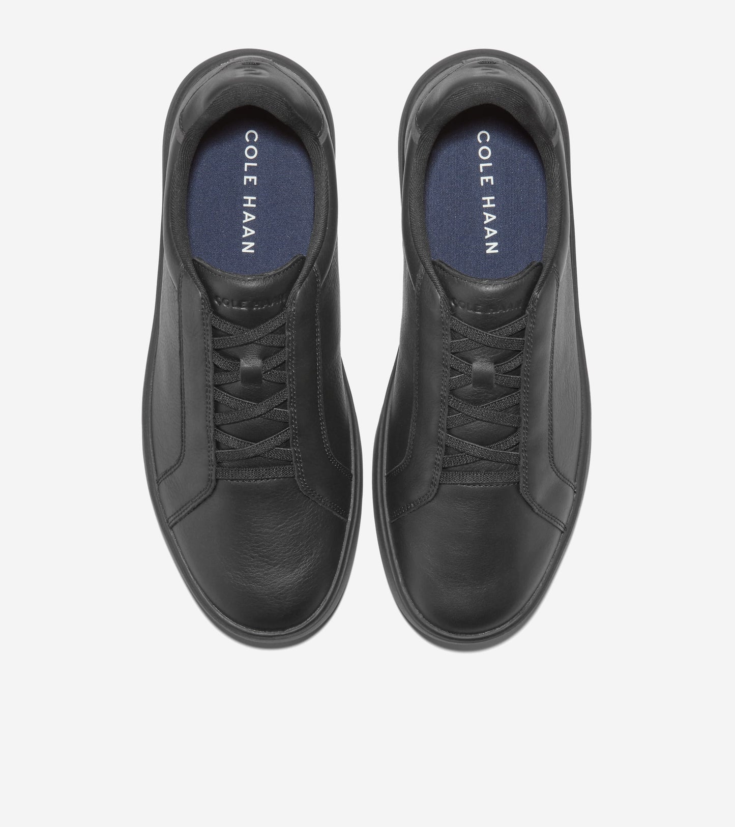 C43717:BLACK / RAVEN / IVORY