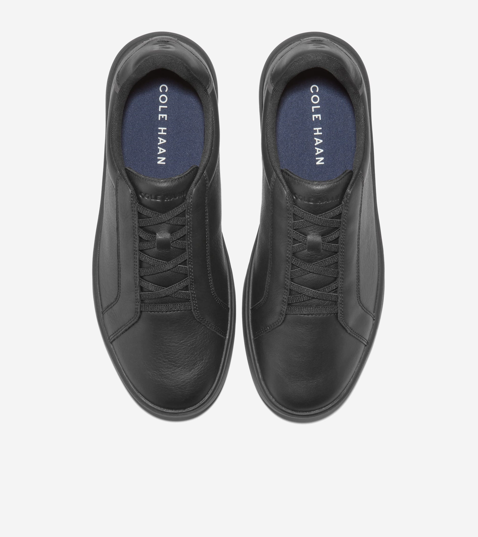 C43717:BLACK / RAVEN / IVORY